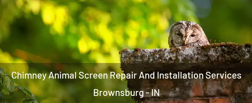  Chimney Animal Screen Repair And Installation Services Brownsburg - IN