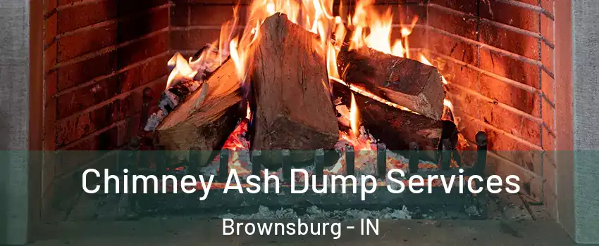  Chimney Ash Dump Services Brownsburg - IN