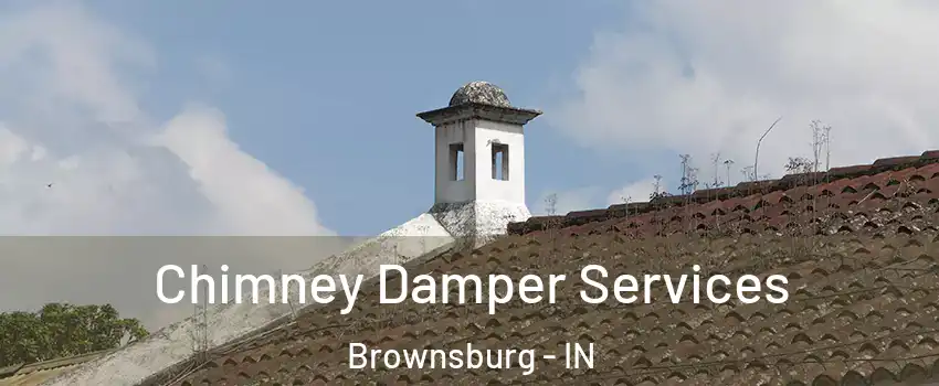  Chimney Damper Services Brownsburg - IN